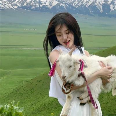 冰毒鳄鱼的攻击